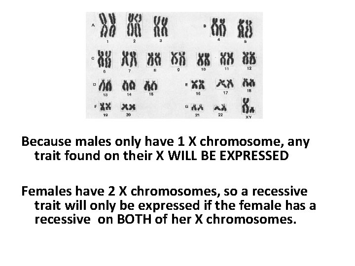Because males only have 1 X chromosome, any trait found on their X WILL