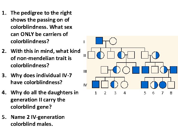 1. The pedigree to the right shows the passing on of colorblindness. What sex