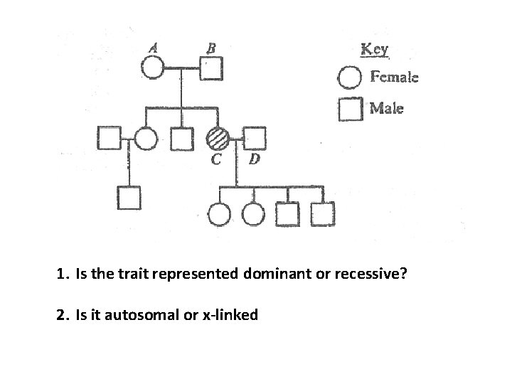 1. Is the trait represented dominant or recessive? 2. Is it autosomal or x-linked