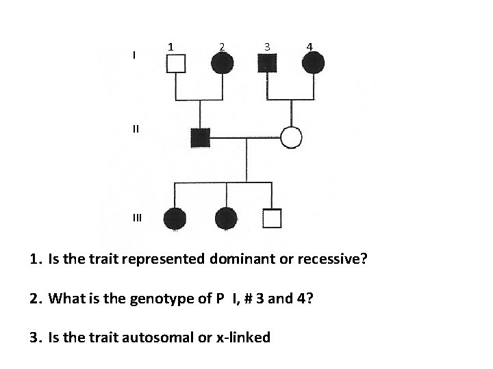 I 1 2 3 4 II III 1. Is the trait represented dominant or