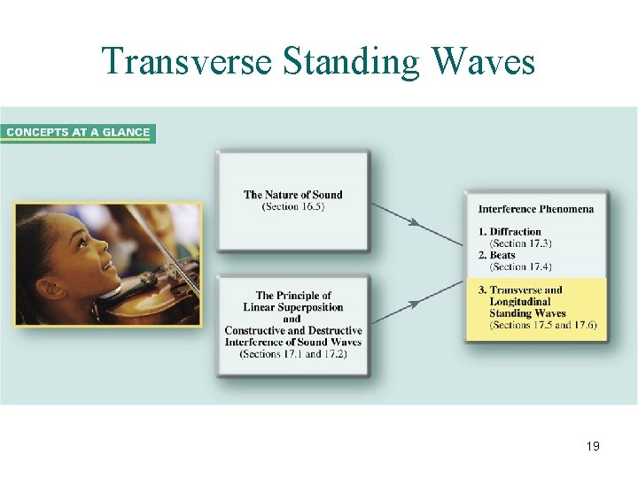 Transverse Standing Waves 19 