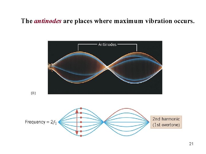 The antinodes are places where maximum vibration occurs. 21 
