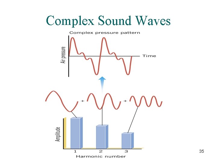 Complex Sound Waves 35 