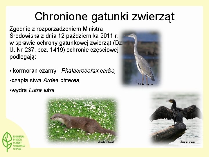 Chronione gatunki zwierząt Zgodnie z rozporządzeniem Ministra Środowiska z dnia 12 października 2011 r.