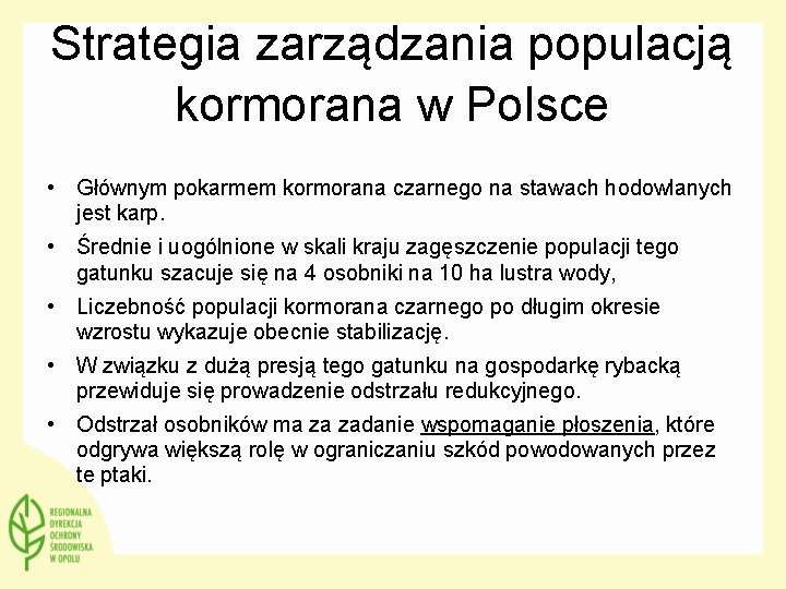 Strategia zarządzania populacją kormorana w Polsce • Głównym pokarmem kormorana czarnego na stawach hodowlanych