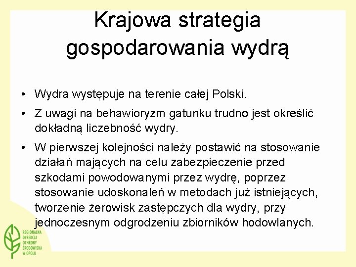 Krajowa strategia gospodarowania wydrą • Wydra występuje na terenie całej Polski. • Z uwagi