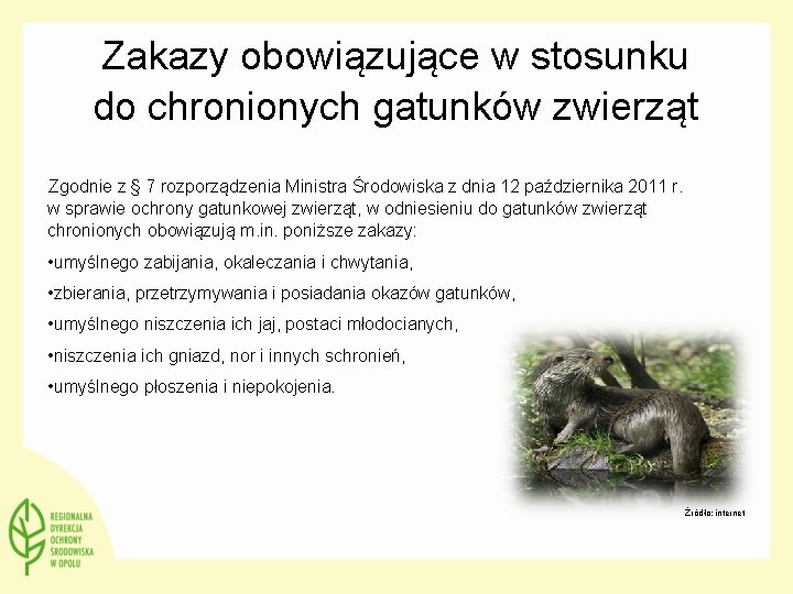 Zakazy obowiązujące w stosunku do chronionych gatunków zwierząt Zgodnie z § 7 rozporządzenia Ministra