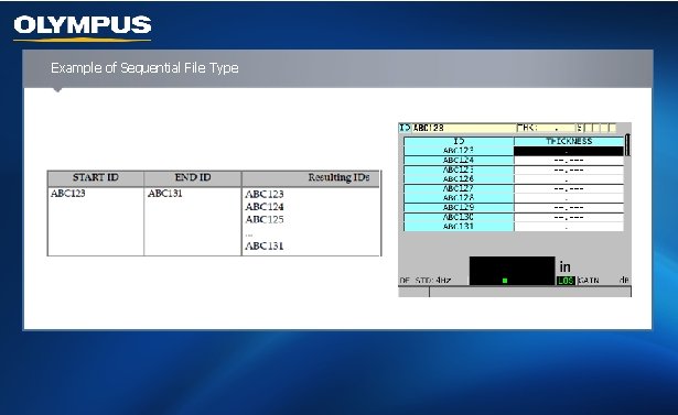 Example of Sequential File Type 