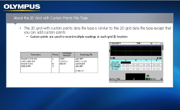 About the 2 D Grid with Custom Points File Type • The 2 D