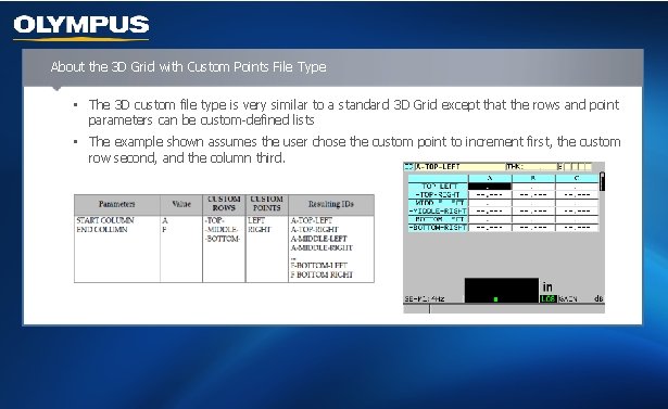 About the 3 D Grid with Custom Points File Type • The 3 D