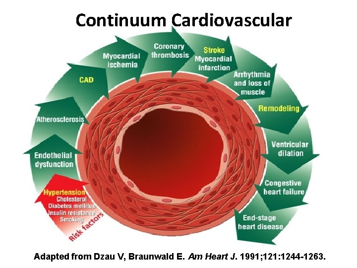 Continuum Cardiovascular Adapted from Dzau V, Braunwald E. Am Heart J. 1991; 121: 1244