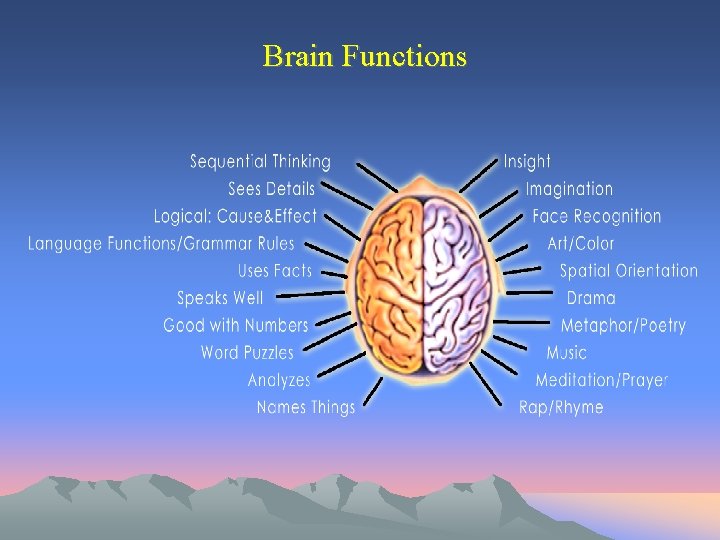 Cs Brain Function Welcome to the world of S K Academy
