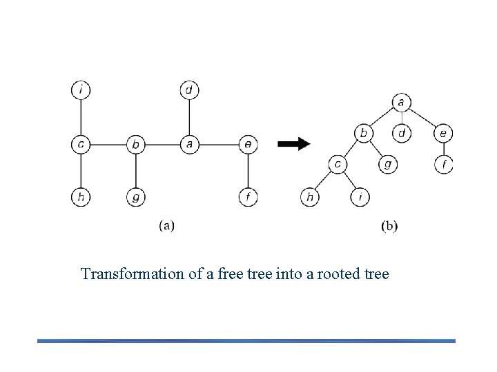Transformation of a free tree into a rooted tree 