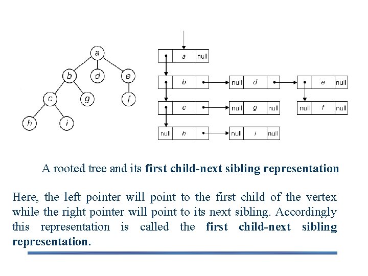 A rooted tree and its first child-next sibling representation Here, the left pointer will