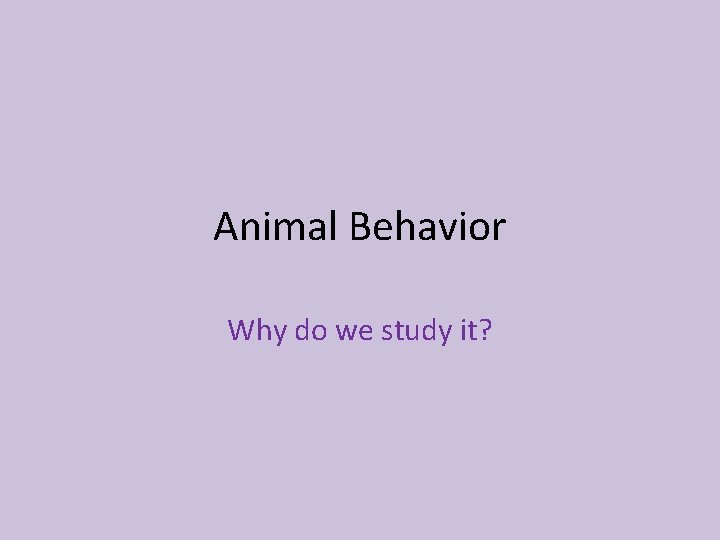 Animal Behavior Why do we study it? 