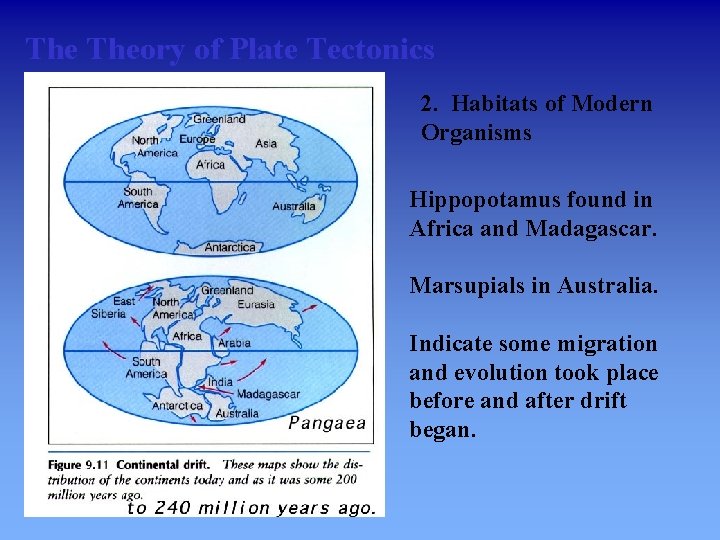 The Theory of Plate Tectonics 2. Habitats of Modern Organisms Hippopotamus found in Africa