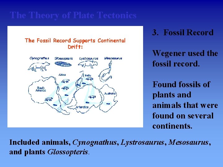 The Theory of Plate Tectonics 3. Fossil Record Wegener used the fossil record. Found