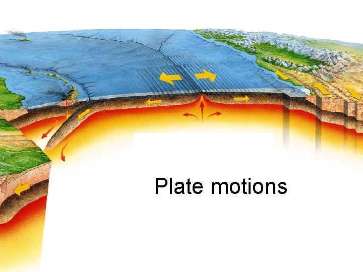 Plate motions 
