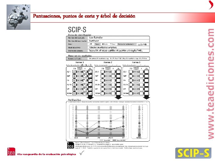 Puntuaciones, puntos de corte y árbol de decisión A la vanguardia de la evaluación