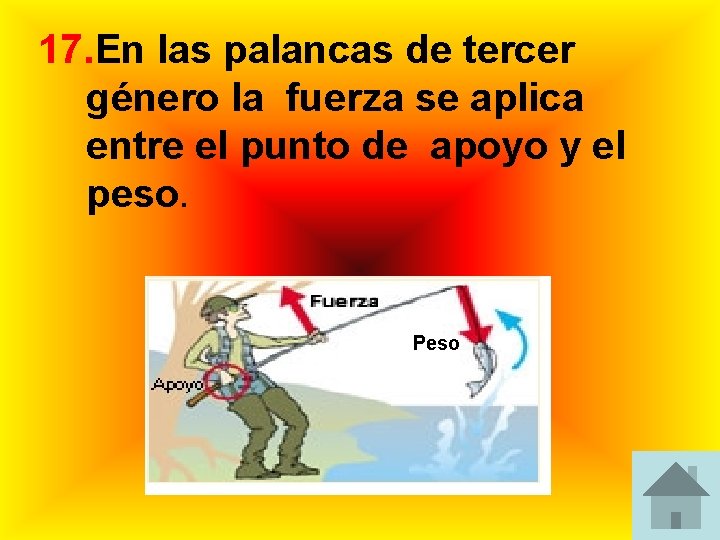 17. En las palancas de tercer género la fuerza se aplica entre el punto 17. En las palancas de tercer género la fuerza se aplica entre el punto