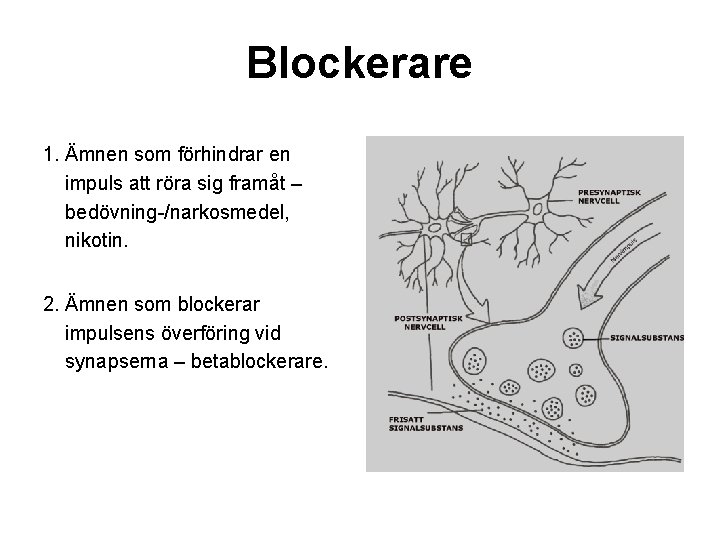 Blockerare 1. Ämnen som förhindrar en impuls att röra sig framåt – bedövning-/narkosmedel, nikotin.