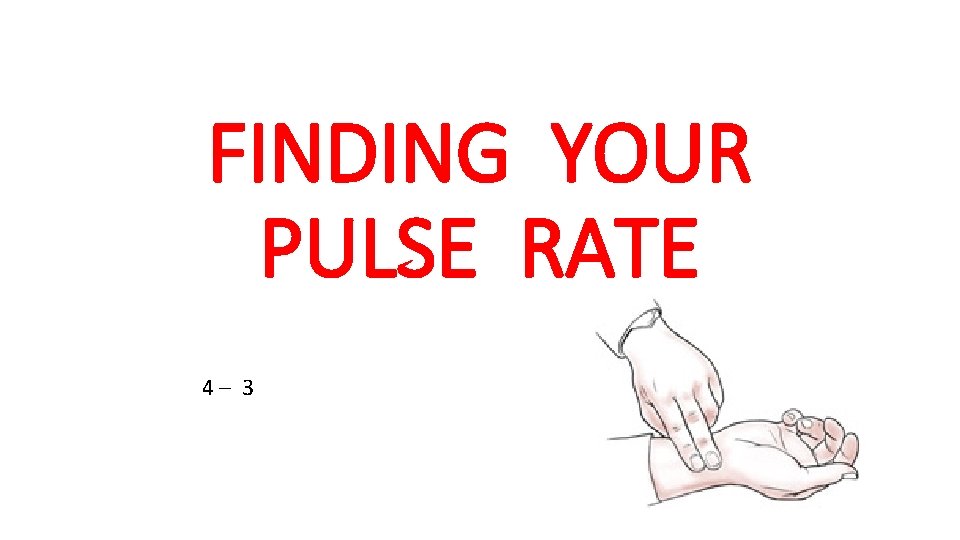 FINDING YOUR PULSE RATE 4– 3 