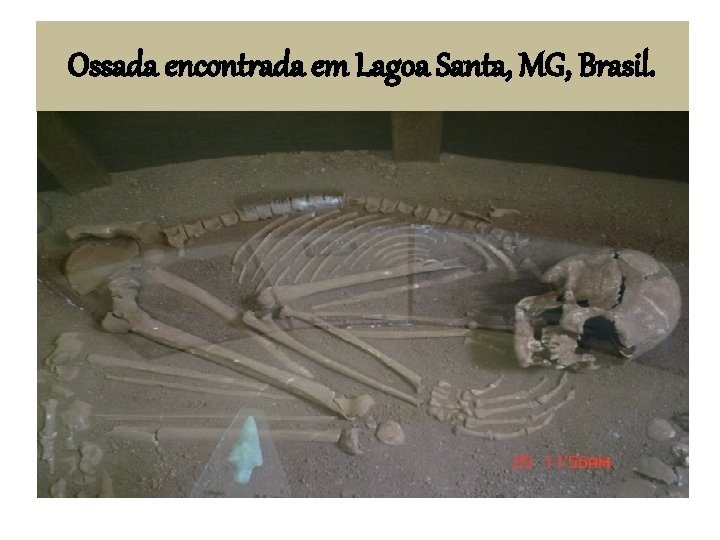 Ossada encontrada em Lagoa Santa, MG, Brasil. 
