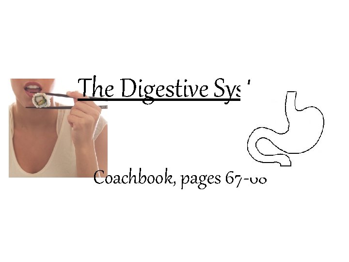 The Digestive System Coachbook, pages 67 -68 