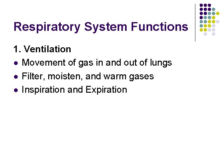 Respiratory System Functions 1. Ventilation l Movement of gas in and out of lungs