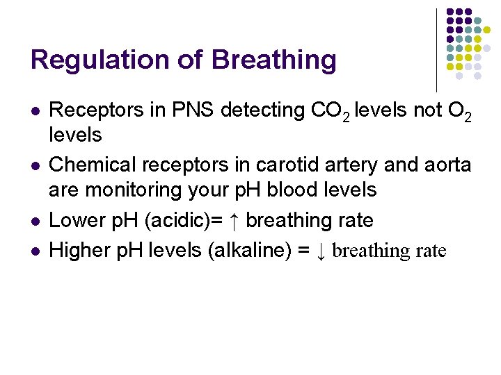 Regulation of Breathing l l Receptors in PNS detecting CO 2 levels not O