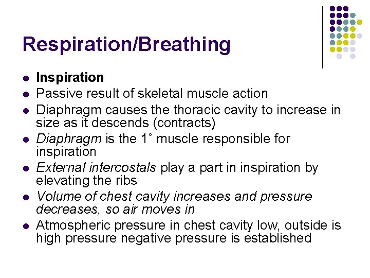 Respiration/Breathing l l l l Inspiration Passive result of skeletal muscle action Diaphragm causes