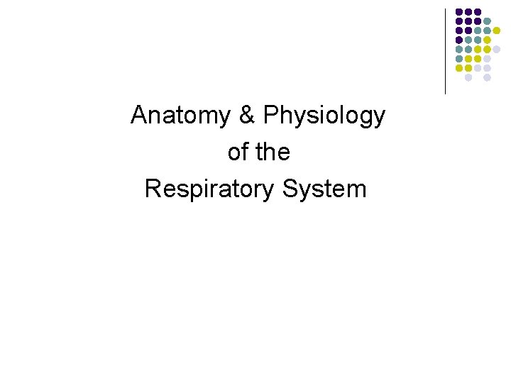 Anatomy & Physiology of the Respiratory System 
