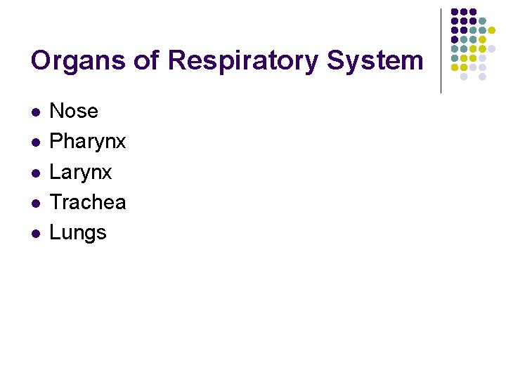 Organs of Respiratory System l l l Nose Pharynx Larynx Trachea Lungs 