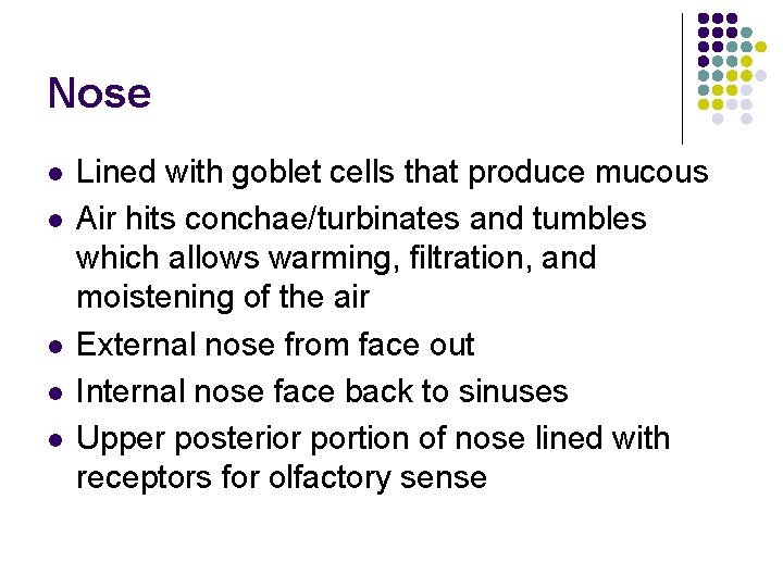Nose l l l Lined with goblet cells that produce mucous Air hits conchae/turbinates