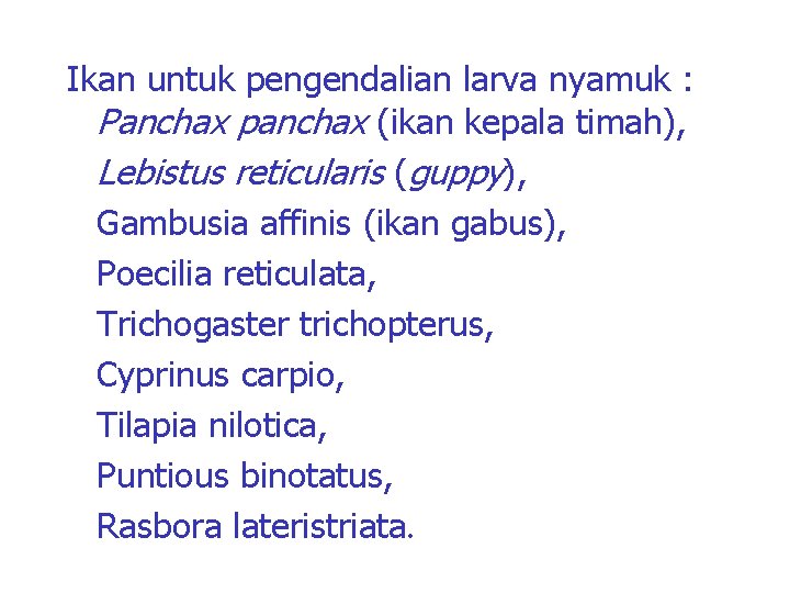 Ikan untuk pengendalian larva nyamuk : Panchax panchax (ikan kepala timah), Lebistus reticularis (guppy),