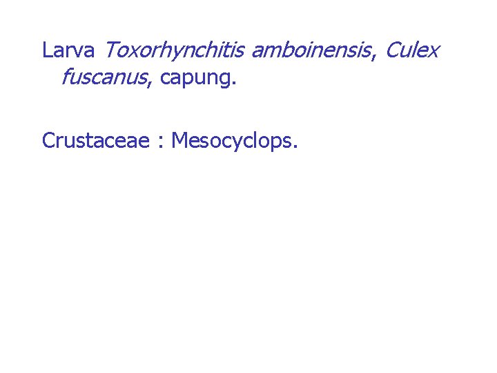 Larva Toxorhynchitis amboinensis, Culex fuscanus, capung. Crustaceae : Mesocyclops. 