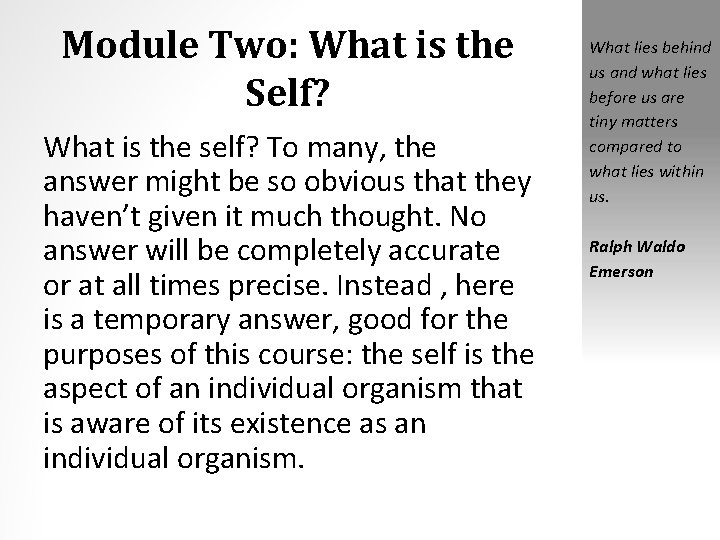 Module Two: What is the Self? What is the self? To many, the answer