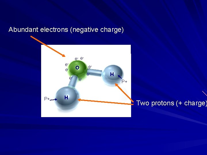 Abundant electrons (negative charge) e- eee- O e- P+ H e- ee- H P+