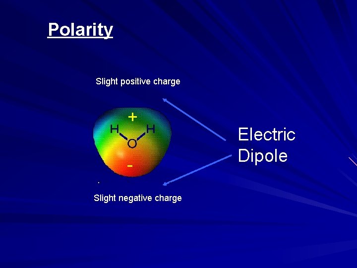 Polarity + Slight positive charge Slight negative charge Electric Dipole 