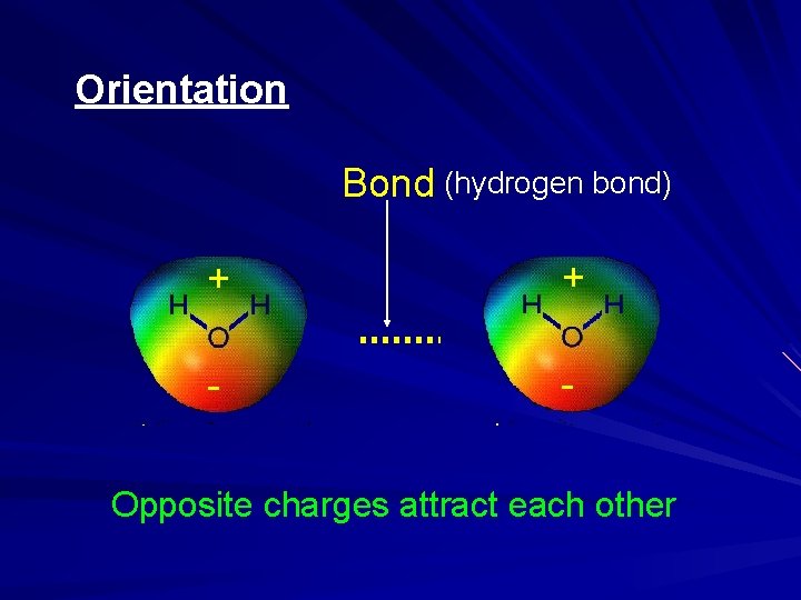 Orientation + + Bond (hydrogen bond) - - Opposite charges attract each other 