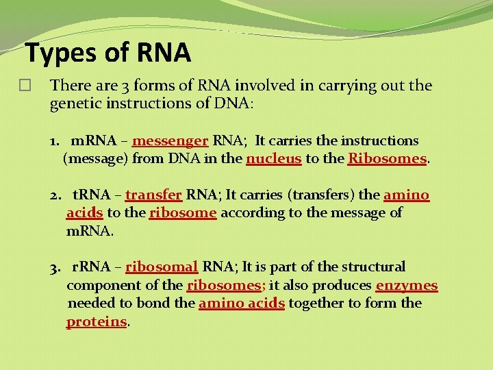 Types of RNA � There are 3 forms of RNA involved in carrying out Types of RNA � There are 3 forms of RNA involved in carrying out