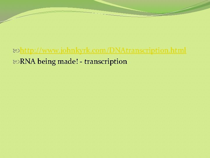http: //www. johnkyrk. com/DNAtranscription. html RNA being made! - transcription http: //www. johnkyrk. com/DNAtranscription. html RNA being made! - transcription