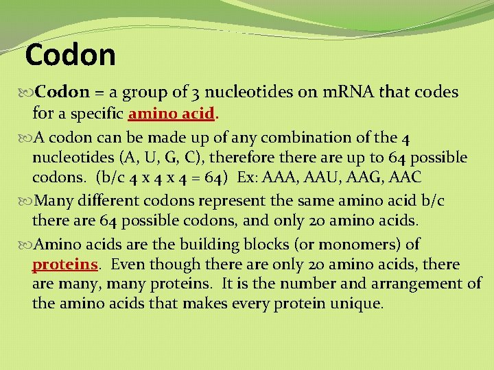 Codon = a group of 3 nucleotides on m. RNA that codes for a Codon = a group of 3 nucleotides on m. RNA that codes for a
