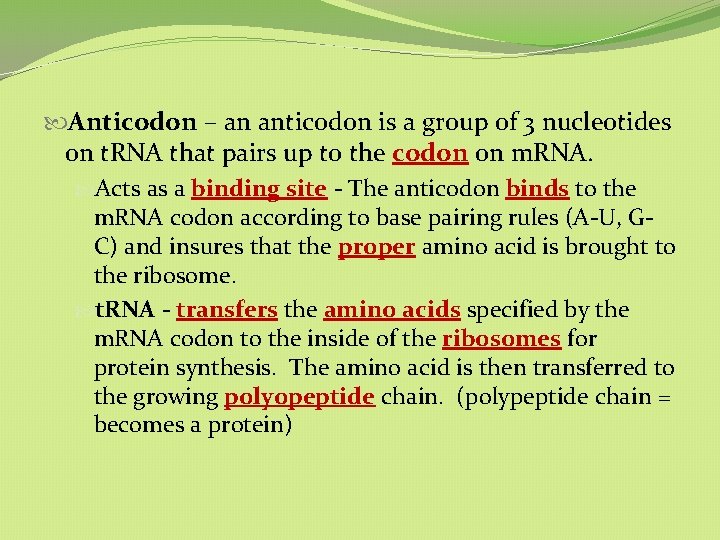 Anticodon – an anticodon is a group of 3 nucleotides on t. RNA Anticodon – an anticodon is a group of 3 nucleotides on t. RNA