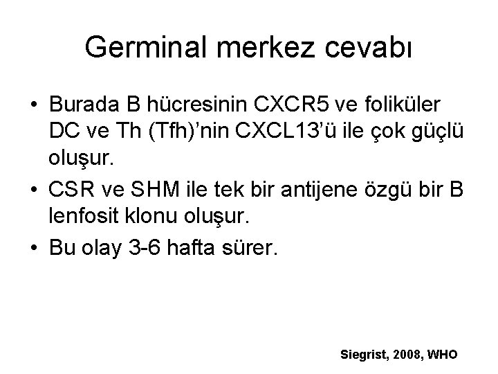 Germinal merkez cevabı • Burada B hücresinin CXCR 5 ve foliküler DC ve Th