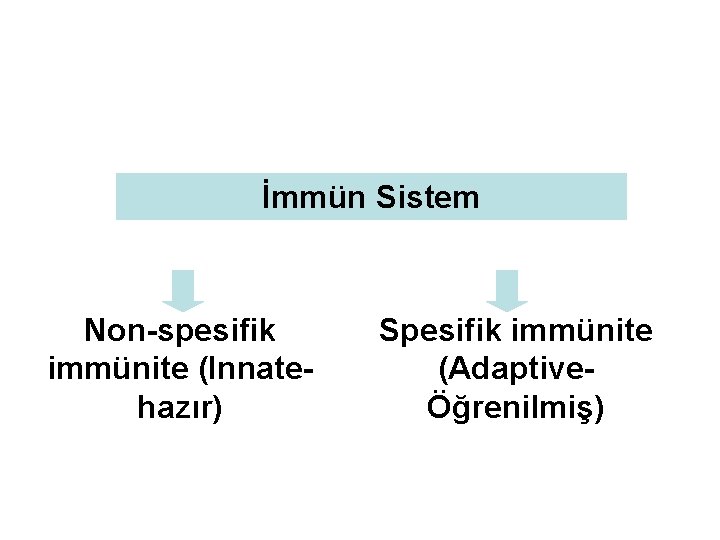 İmmün Sistem Non-spesifik immünite (Innatehazır) Spesifik immünite (AdaptiveÖğrenilmiş) 