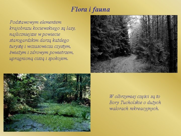 Flora i fauna Podstawowym elementem krajobrazu kociewskiego są lasy, najliczniejsze w powiecie starogardzkim darzą