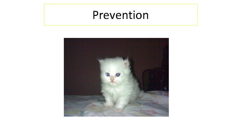 Prevention 