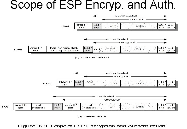 Scope of ESP Encryp. and Auth. 