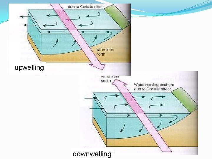 upwelling downwelling 
